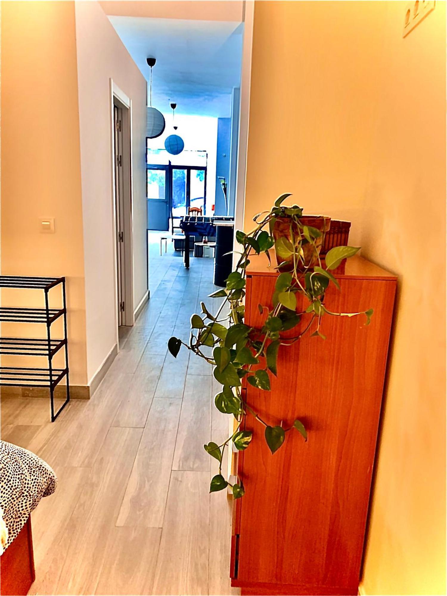 Violeta Loft A With Chill Out Terrace Sevilla Екстериор снимка